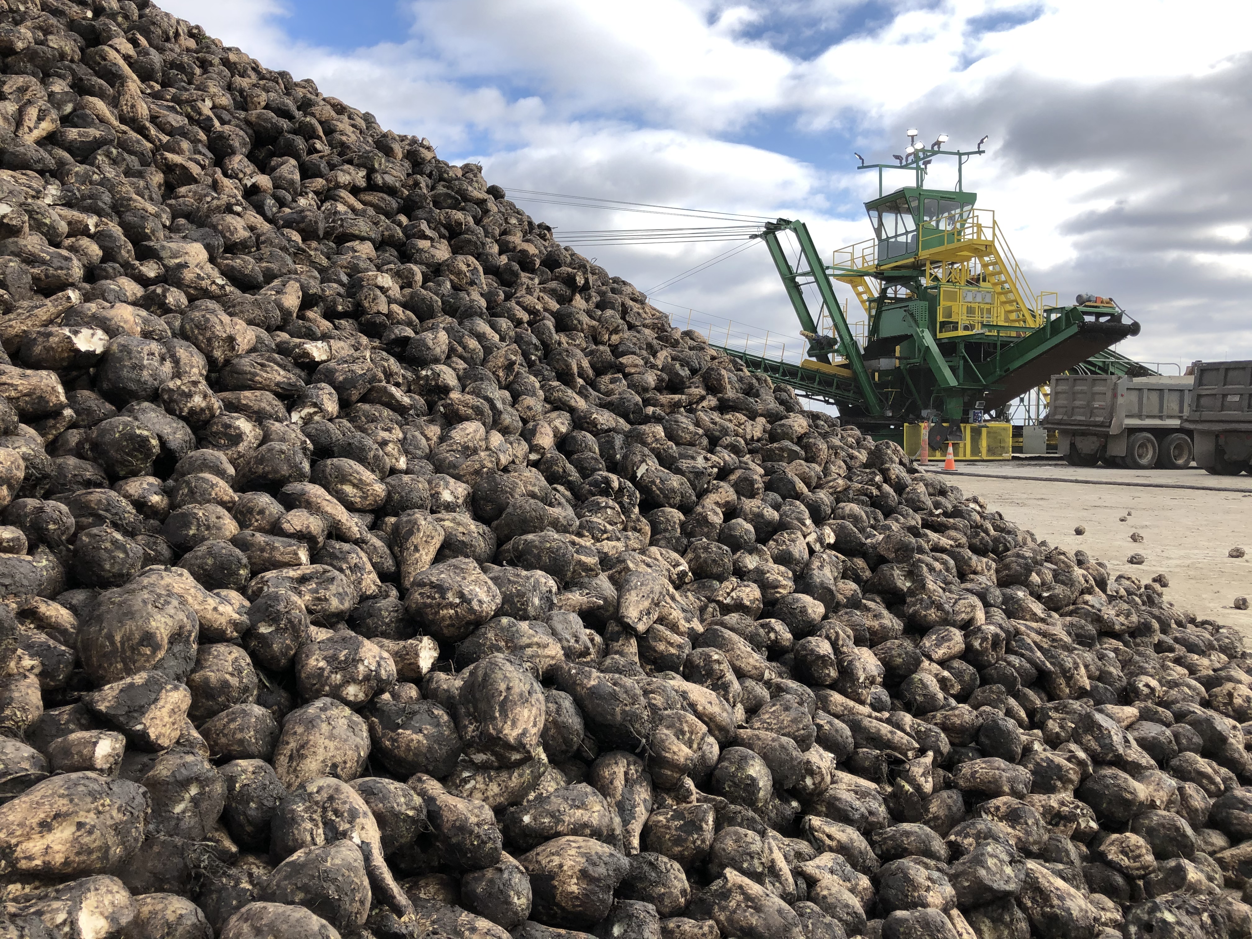 Southern Minnesota Beet Sugar Cooperative in Renville meets environmental goals, but at a cost - Vimarsana News